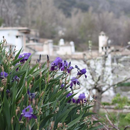 Casa Violeta Villa Atalbeitar Eksteriør bilde
